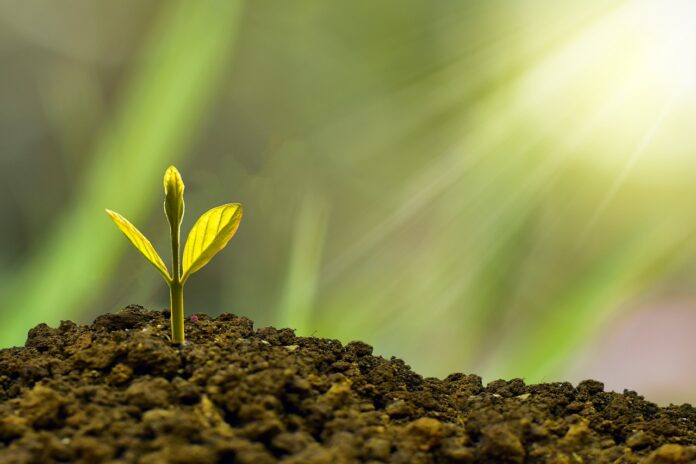 investment concept business finance 5241253