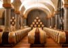 Delea vini Ticino: storia, territorio e passione di DELEA Angelo SA